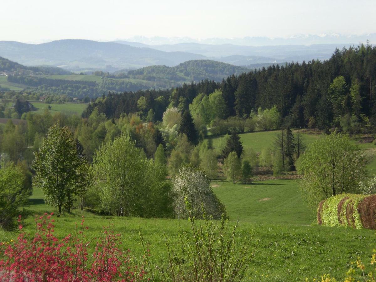 Ferienwohnungen Pichler Hohenau Luaran gambar